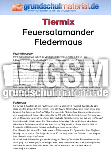 Feuersalamander - Fledermaus.pdf